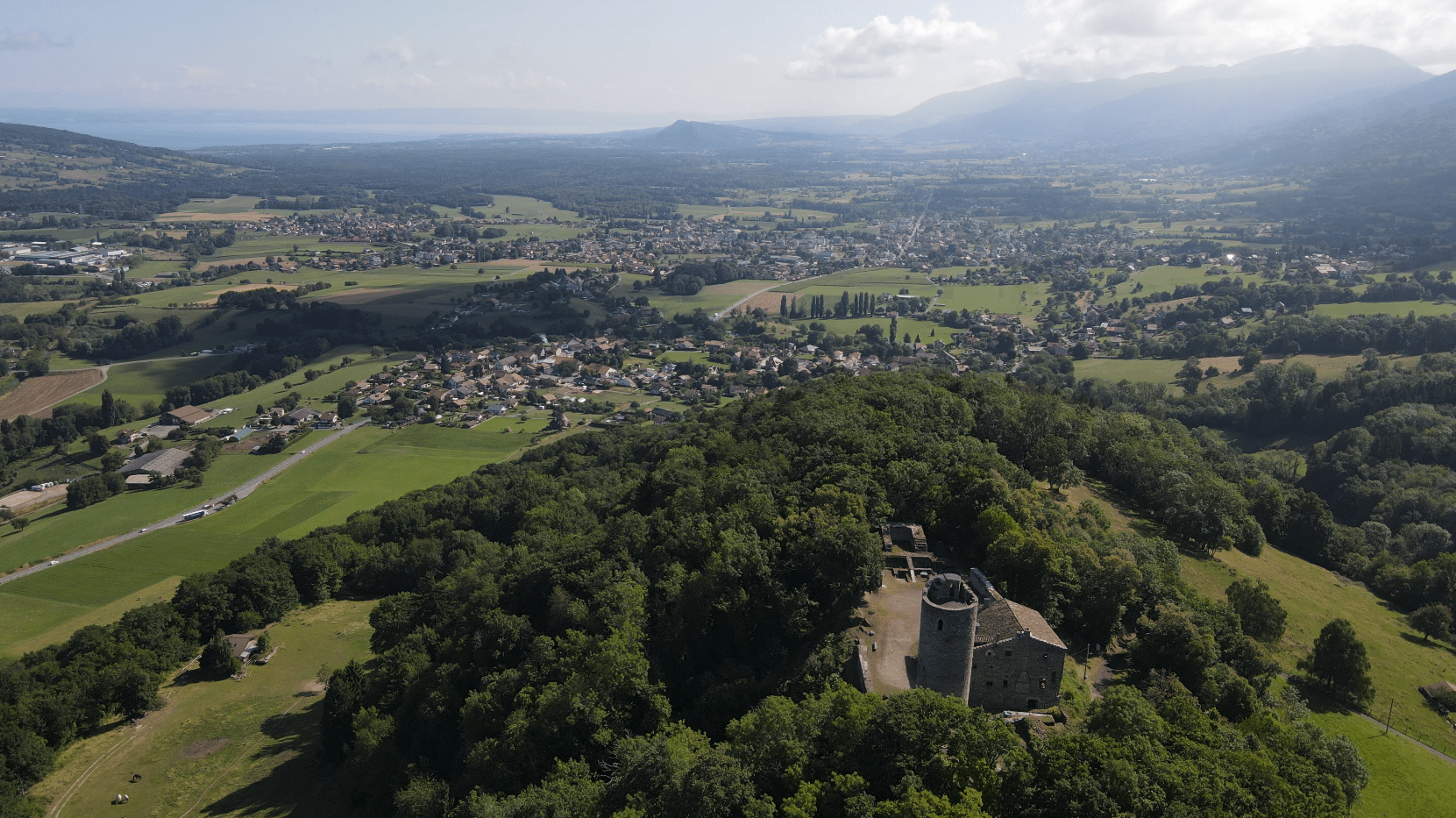 vue